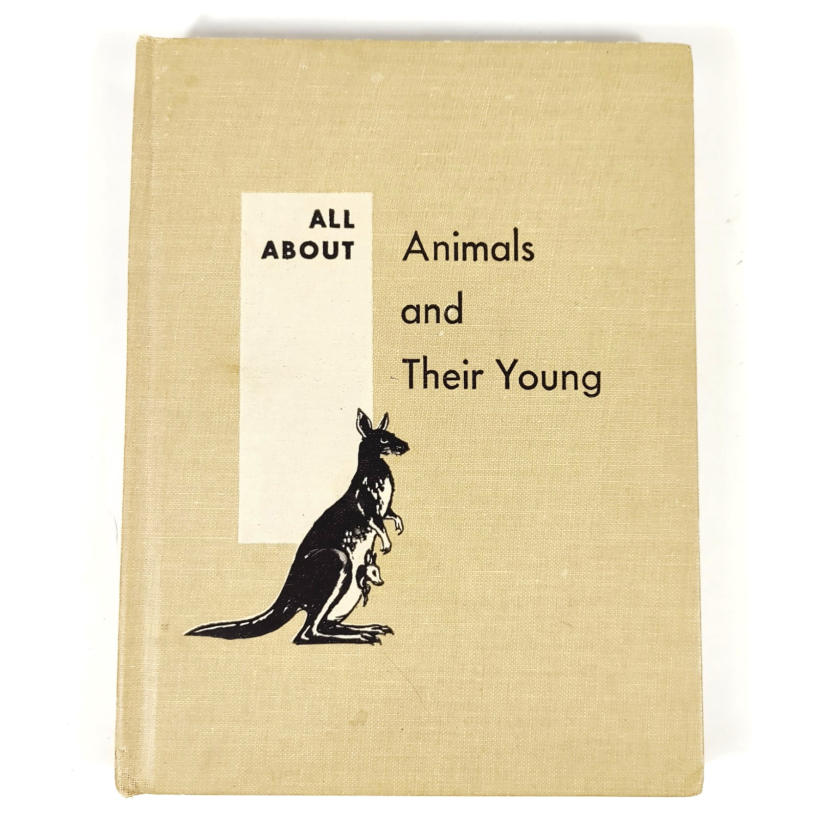 All About Electricity, All About Animals and All About Famous Inventors books