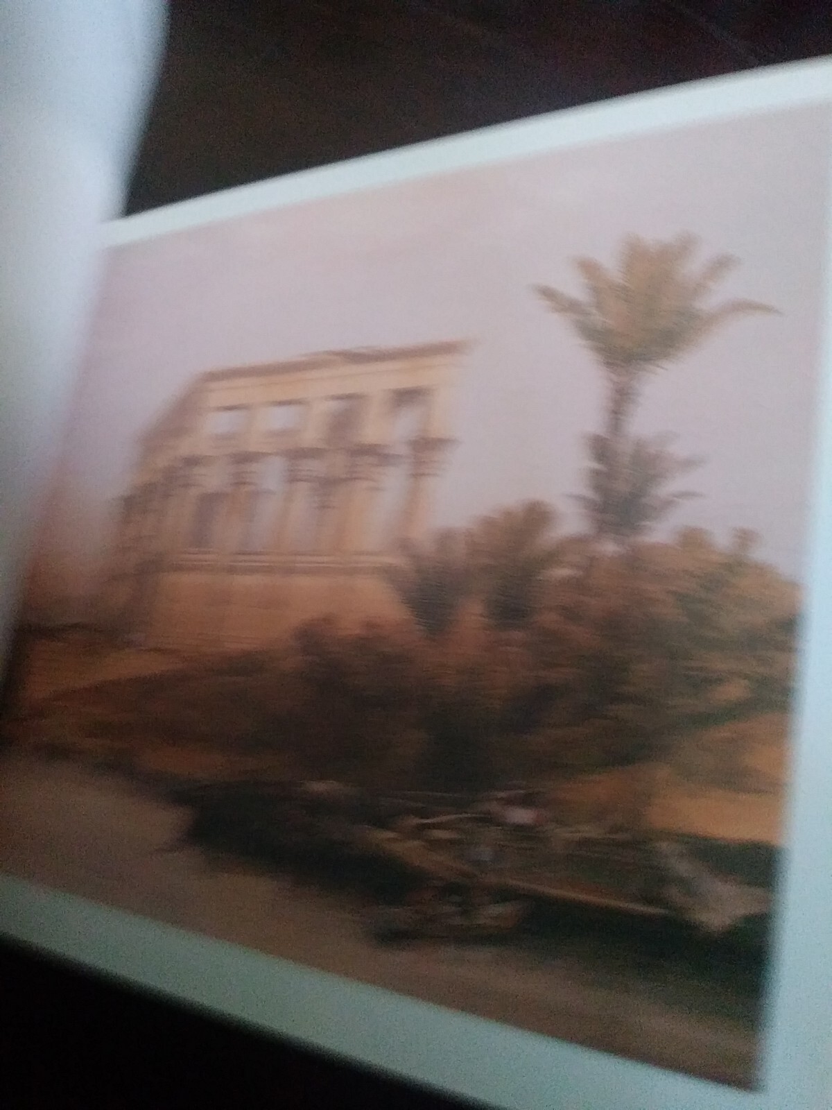VIEWS OF EGYPT & NUBIA (David Roberts)- 30 Postcards Book. VGC