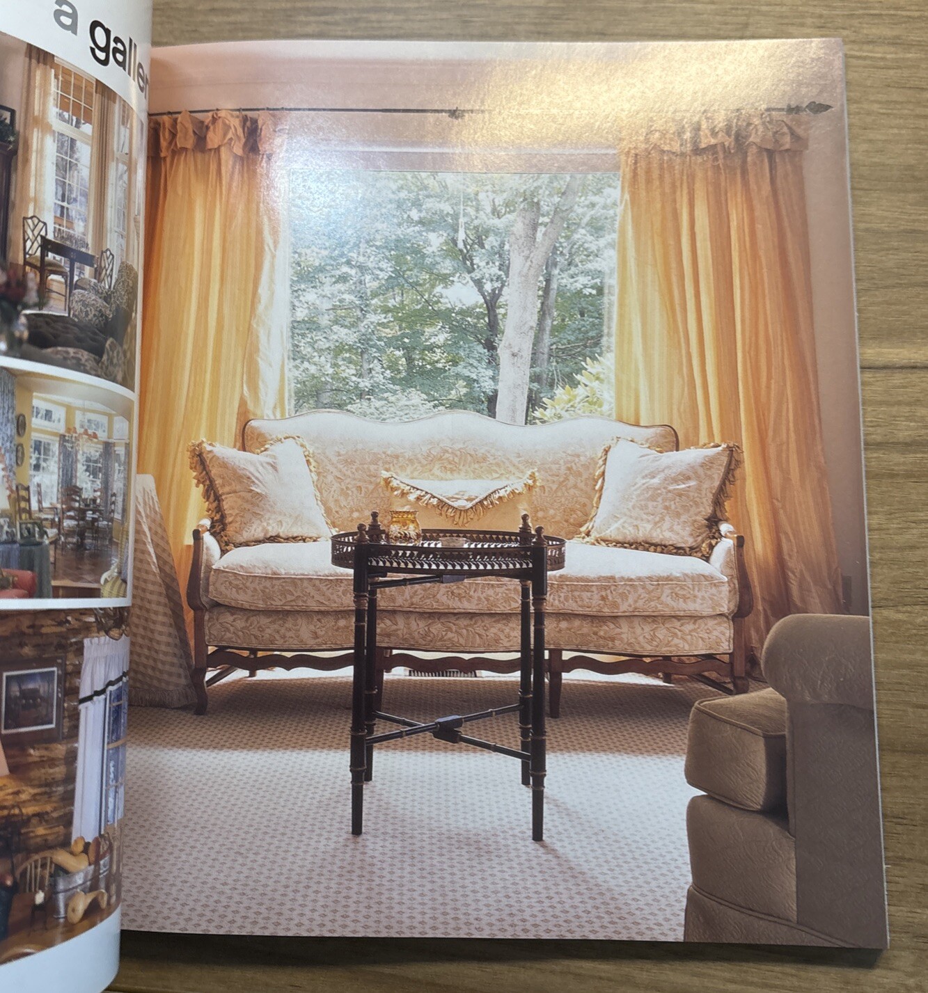 New Smart Approach to Window Decor by Lisa Lent and Lynn Elliott (2004, Trade…