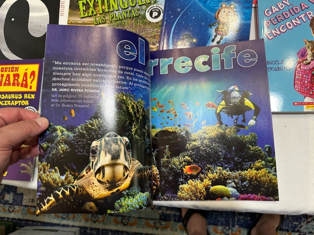 Scholastic 40 SPANISH Grade 4-6 Guided Reading Readers Books Level P, Q, R, S