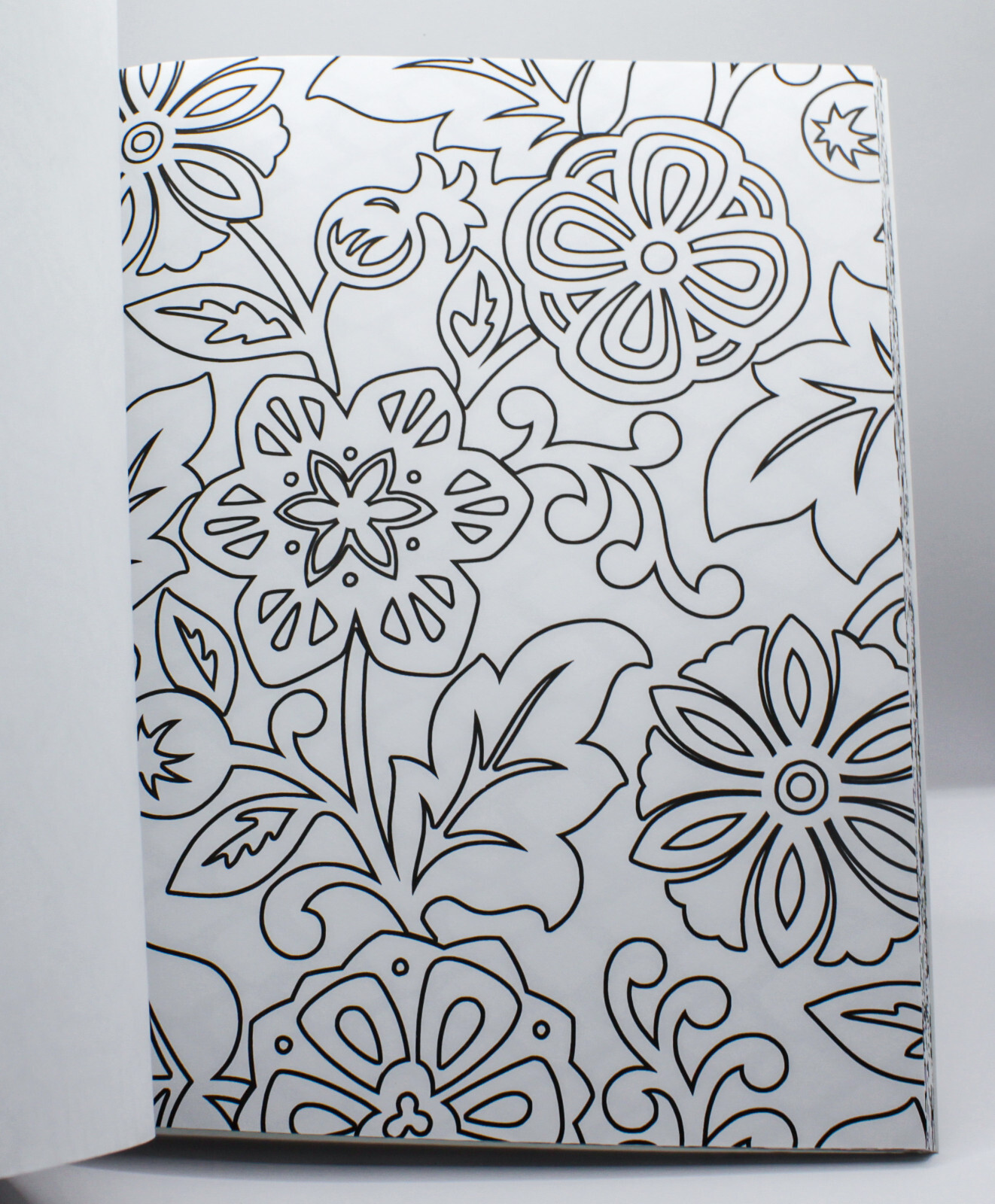 Hallmark Crayola PATTERNED ESCAPES Adult Coloring Book – 80 Pages – NEW!
