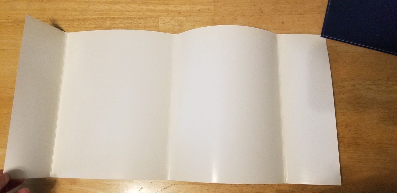 American stoneflies: A photographic guide to the Plecoptera by Bill P. Stark