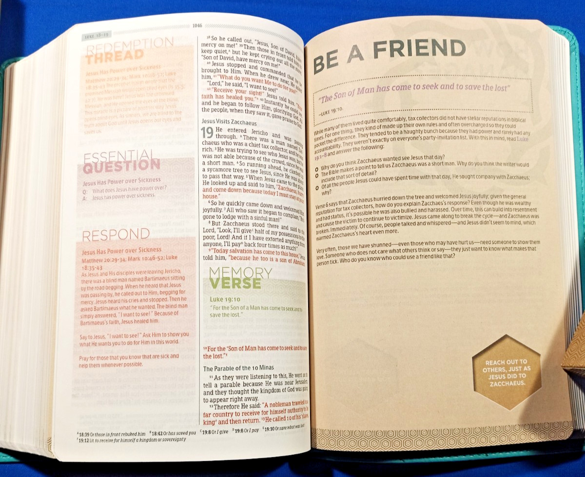 HCSB Essential Teen Study Bible Coral Flower Blue