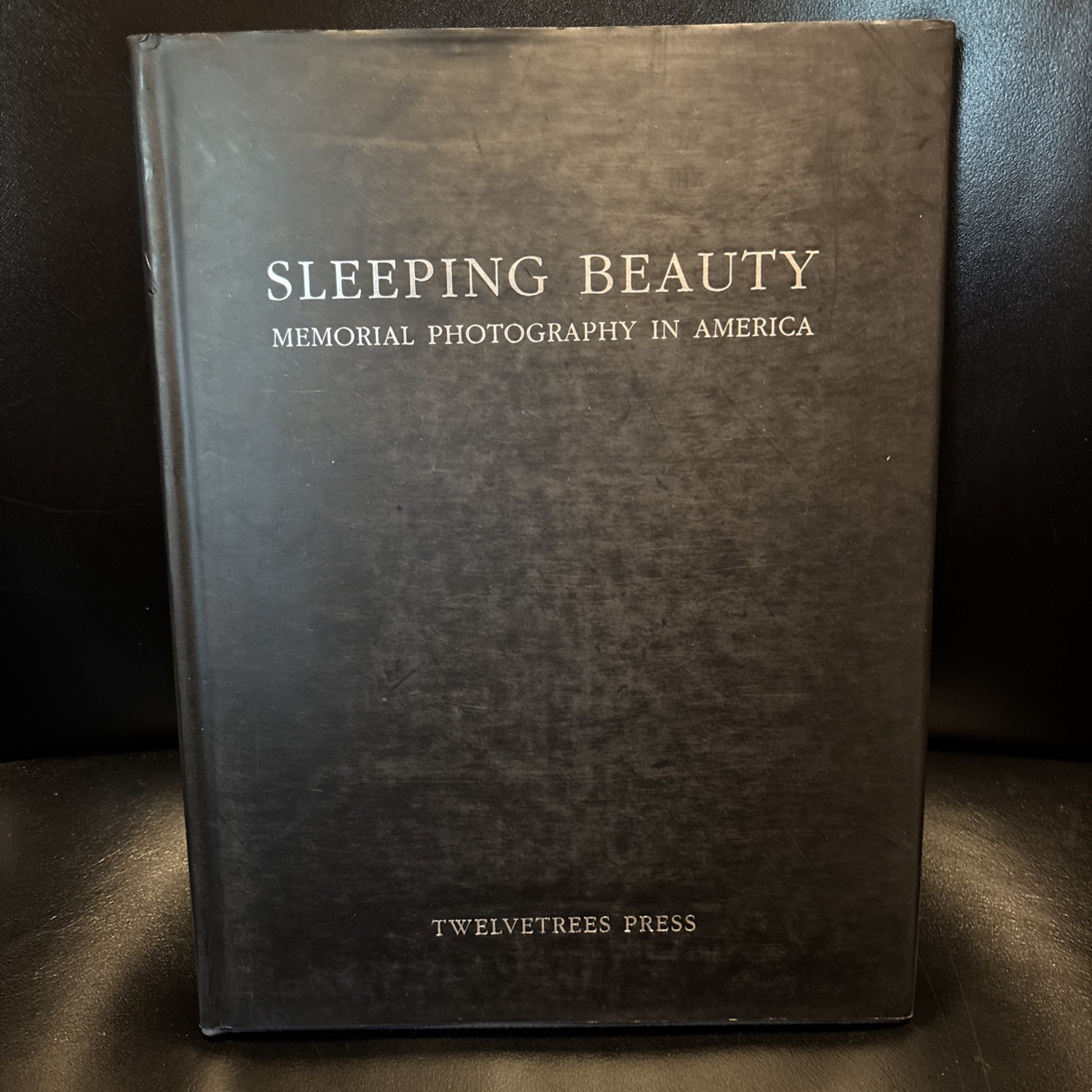 Sleeping Beauty Memorial Photography In America 1990 FIRST EDITION Stanley Burns