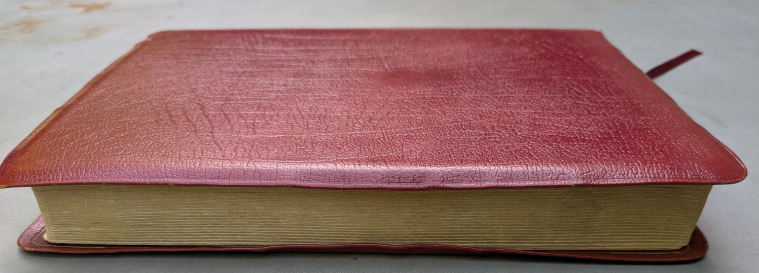 NEW SCOFIELD REFERENCE EDITION Red Cowhide Leather Bible KJV 1969 Oxford