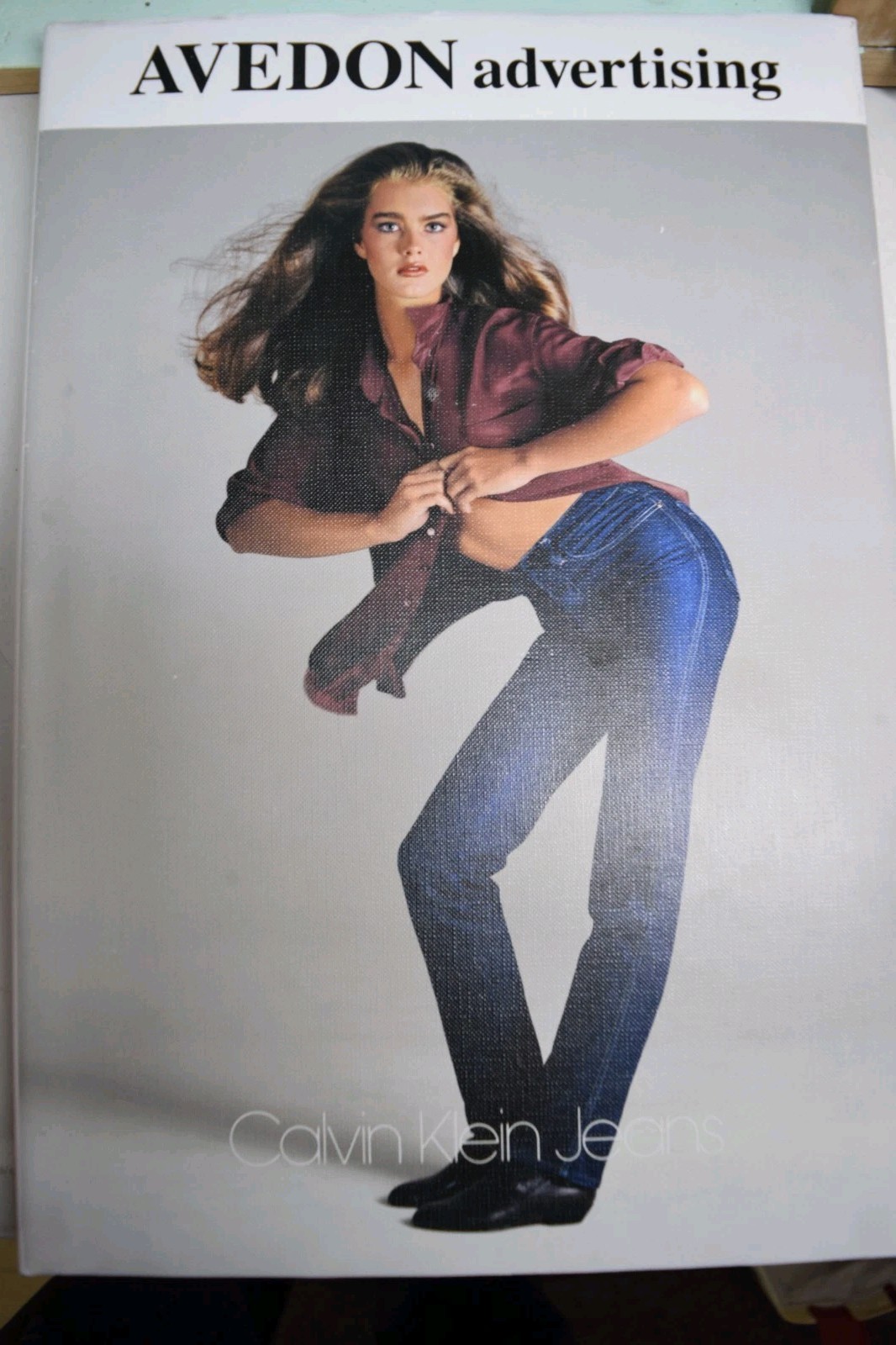 Avedon Advertising : A Photographic History by James Martin, The Richard Avedon