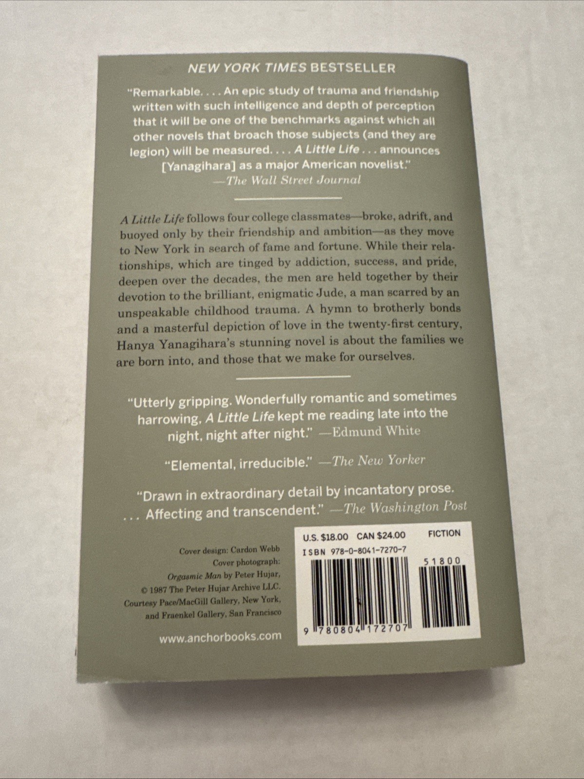 Little Life by Hanya Yanagihara (2016, Trade Paperback)