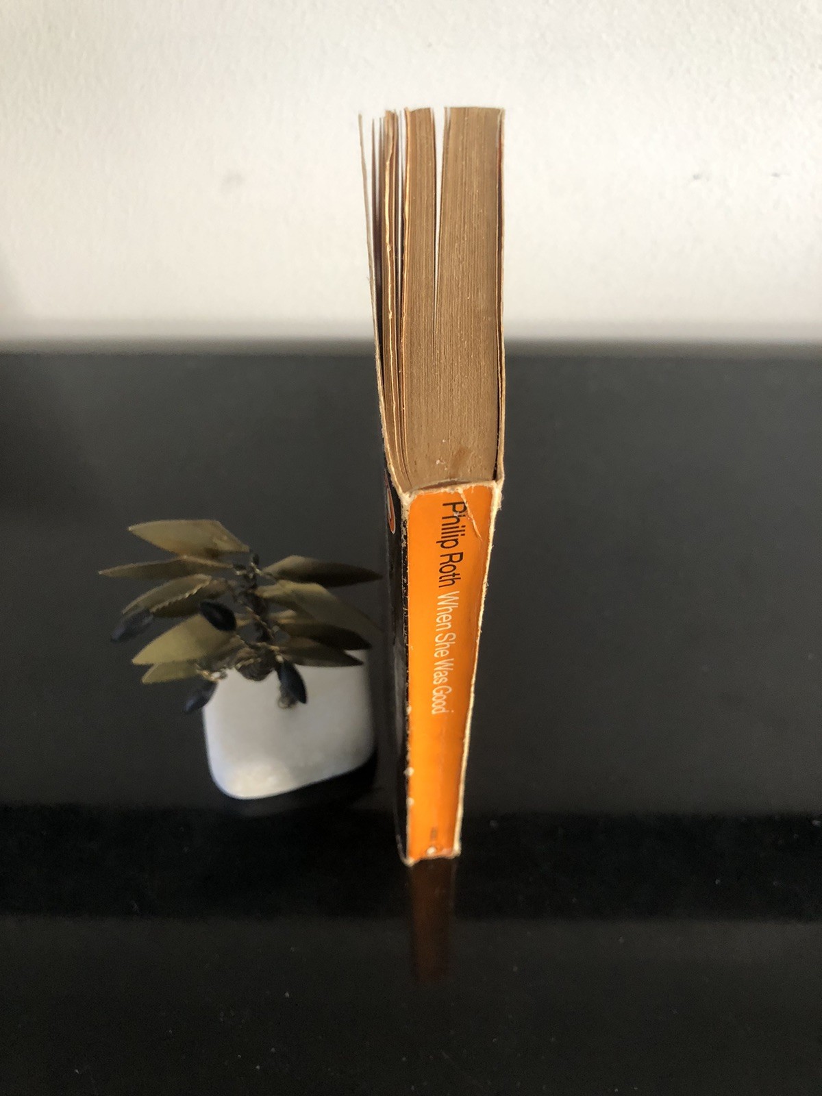 Philip Roth When She Was Good Penguin UK 1971 G