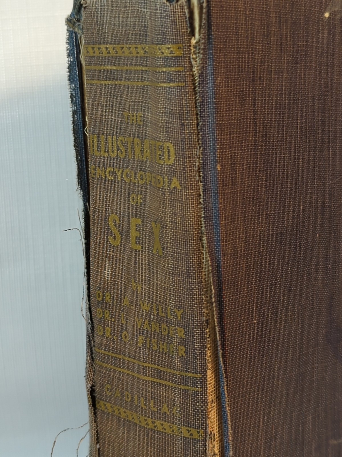 Vtg The Illustrated Encyclopedia of Sex Antique Book Color Illustrations 1949
