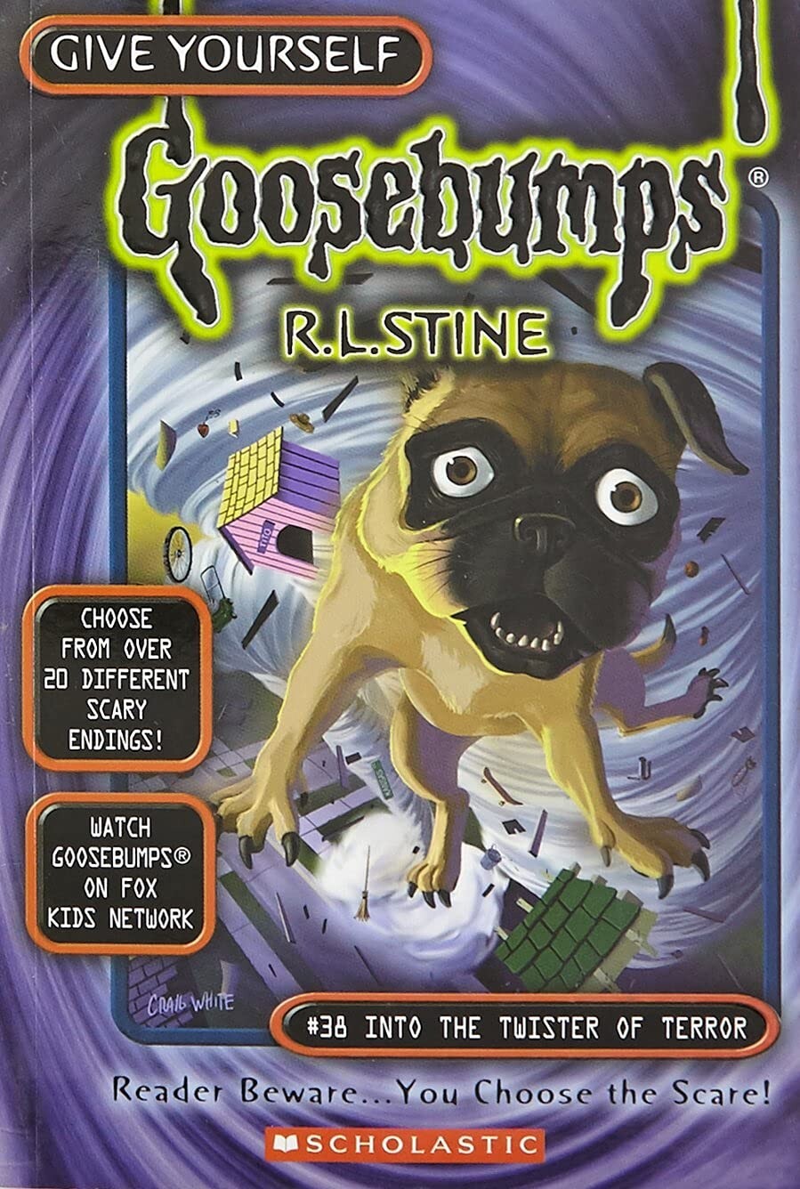 GB: INTO THE TWISTER OF TERROR Paperback by r.l. stine new book goosebump series