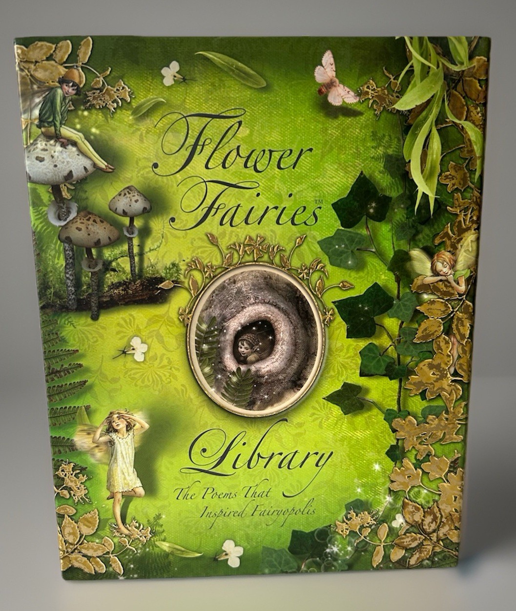 Flower Fairies Library 8 Book Boxed Set by Cicely Mary Barker-See Description