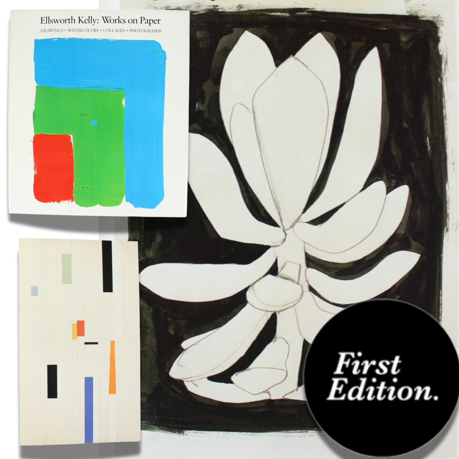 Ellsworth Kelly Hard Edge Minimalist Art Book Color Field Geometric Abstract MCM