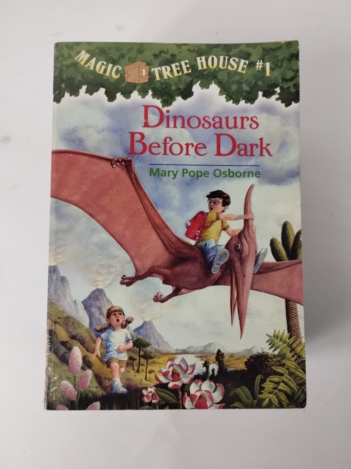 Miscellaneous Lot Of 14 Magic Tree House Books Mary Pope Osborne PB