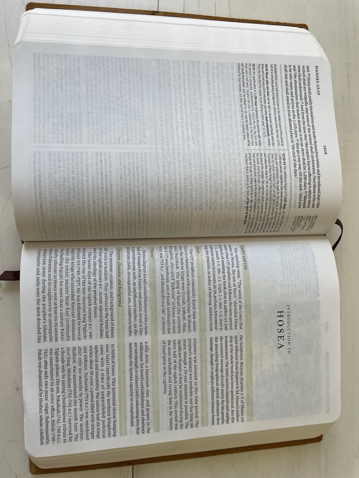 ESV Study Bible Personal Size Natural Brown Leather Out Of Print
