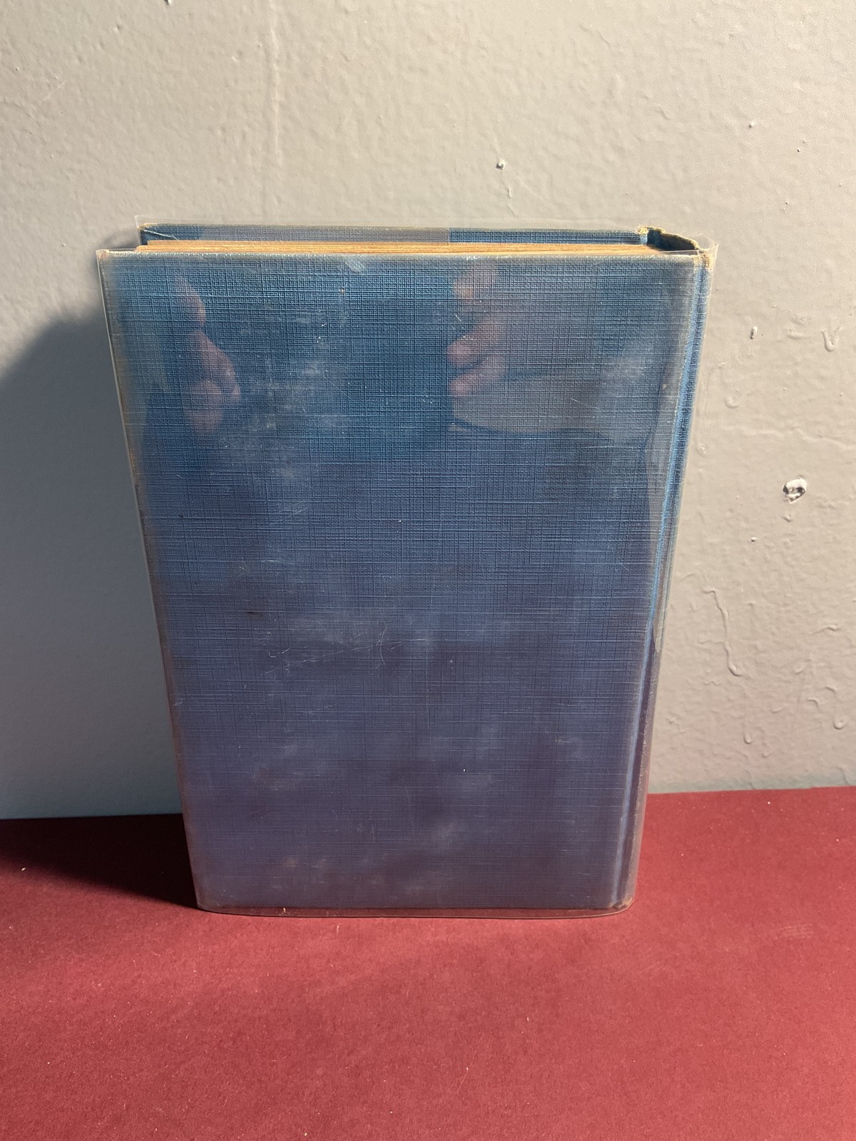 Penrod by Booth Tarkington 1914 Doubleday Page & Co. Illustrated Gordon Grant