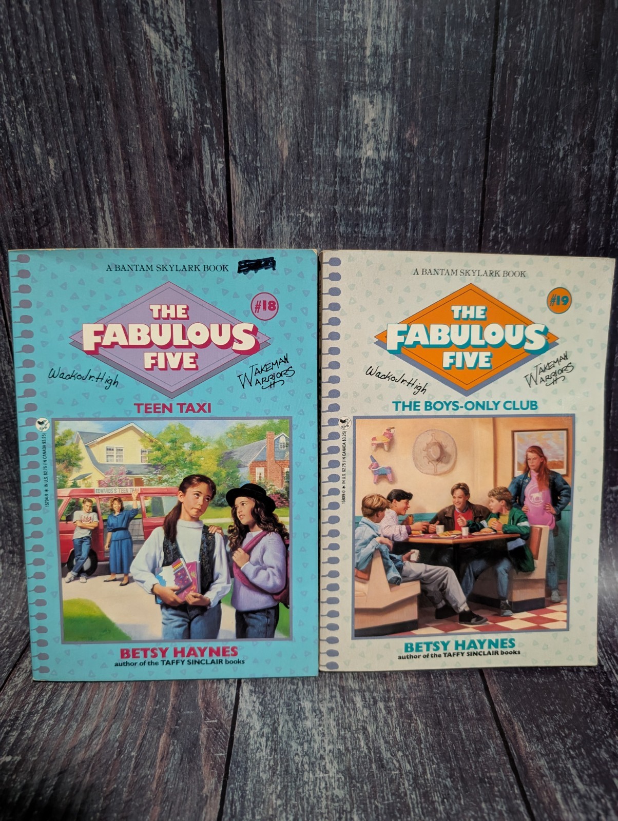 Fabulous Five by Betsy Haynes Book Lot of 16 – Vintage Paperbacks 80s 90s