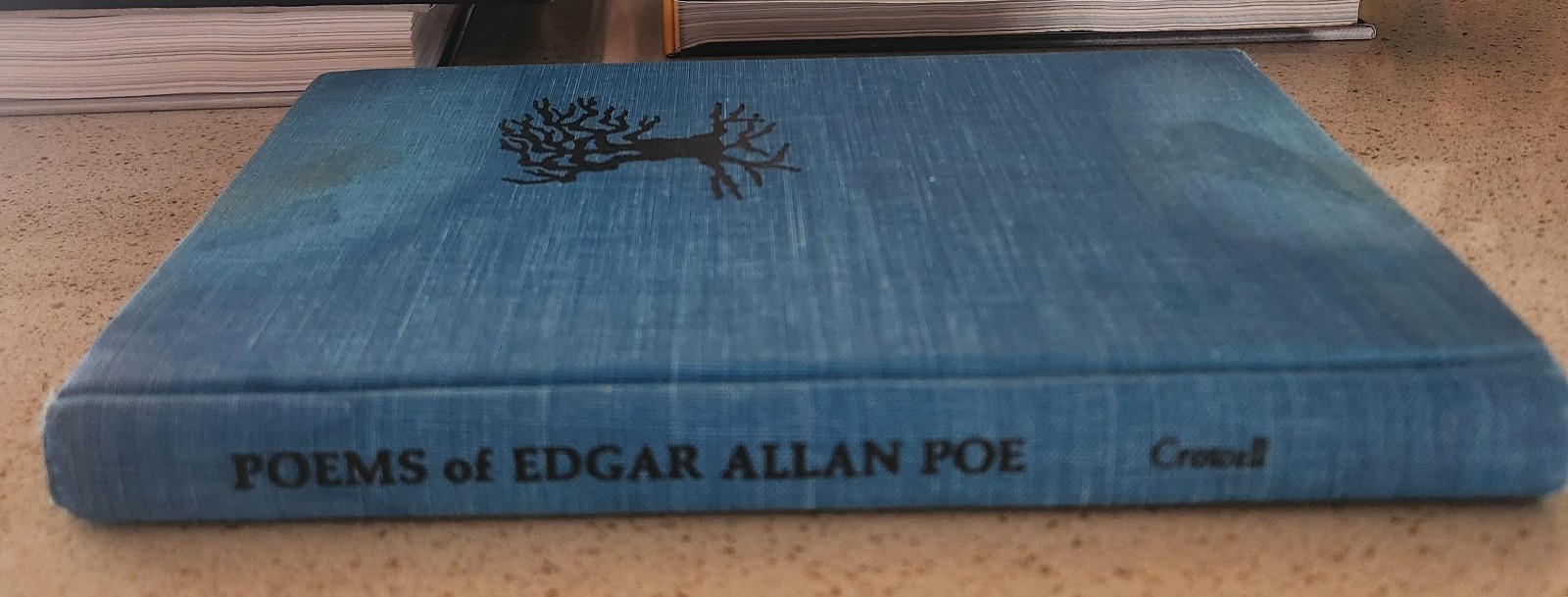 Poems of Edgar Allan Poe Selected by Dwight Macdonald Drawings Ellen Raskin HC