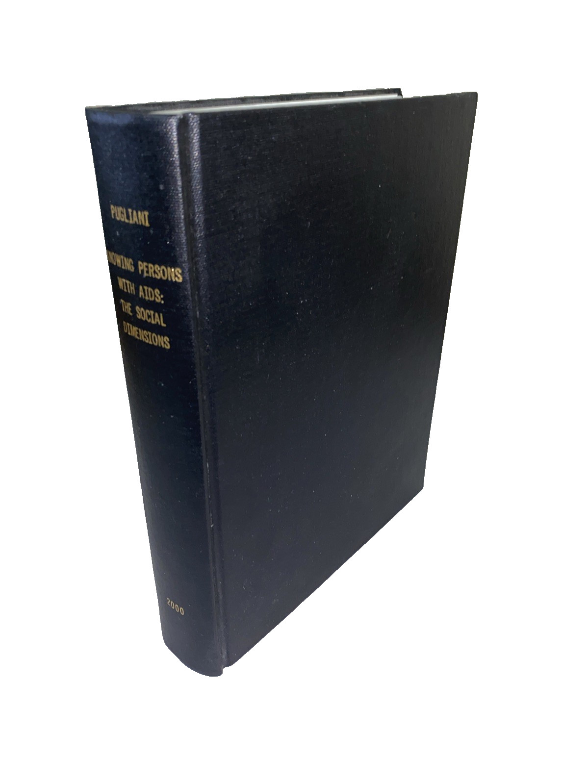Knowing Persons With AIDS Social Dimensions Pugliani 2000 PhD Diss HC 298p 9×11+