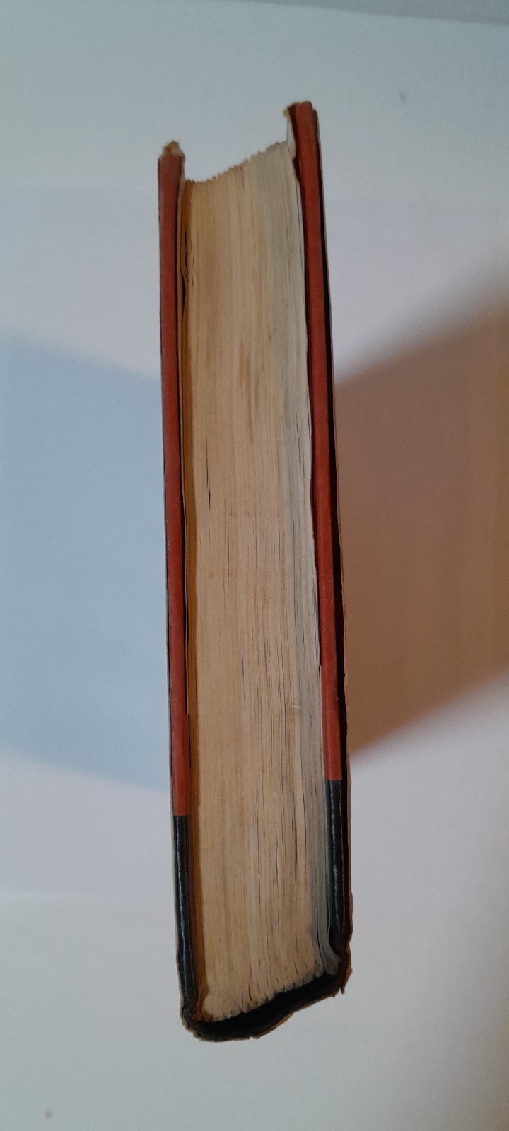 Cujo by Stephen King Book Club Edition 1981 Hardcover