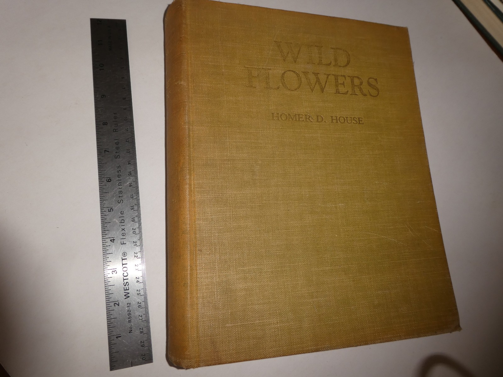 Wild Flowers by Homer D. House 1935 Macmillan Company Elzie S. Wechsler Columbia