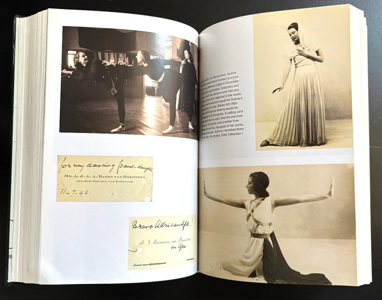 DUTCH GIRL: AUDREY HEPBURN & WORLD WAR II by ROBERT MATZEN (Hardcover 2019)
