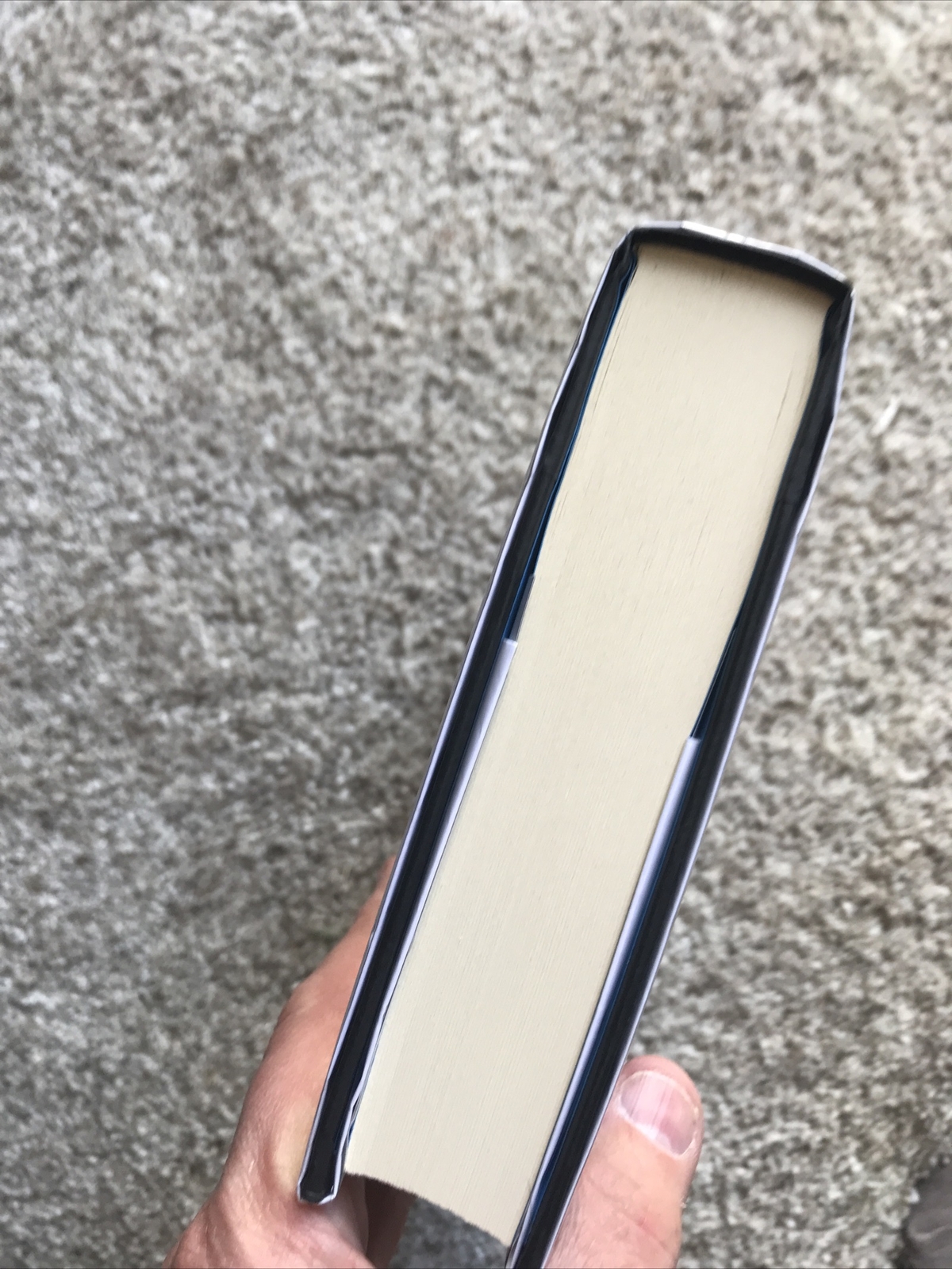 The Woman in the Window  by A. J. Finn (Hardcover) Signed First Edition COA