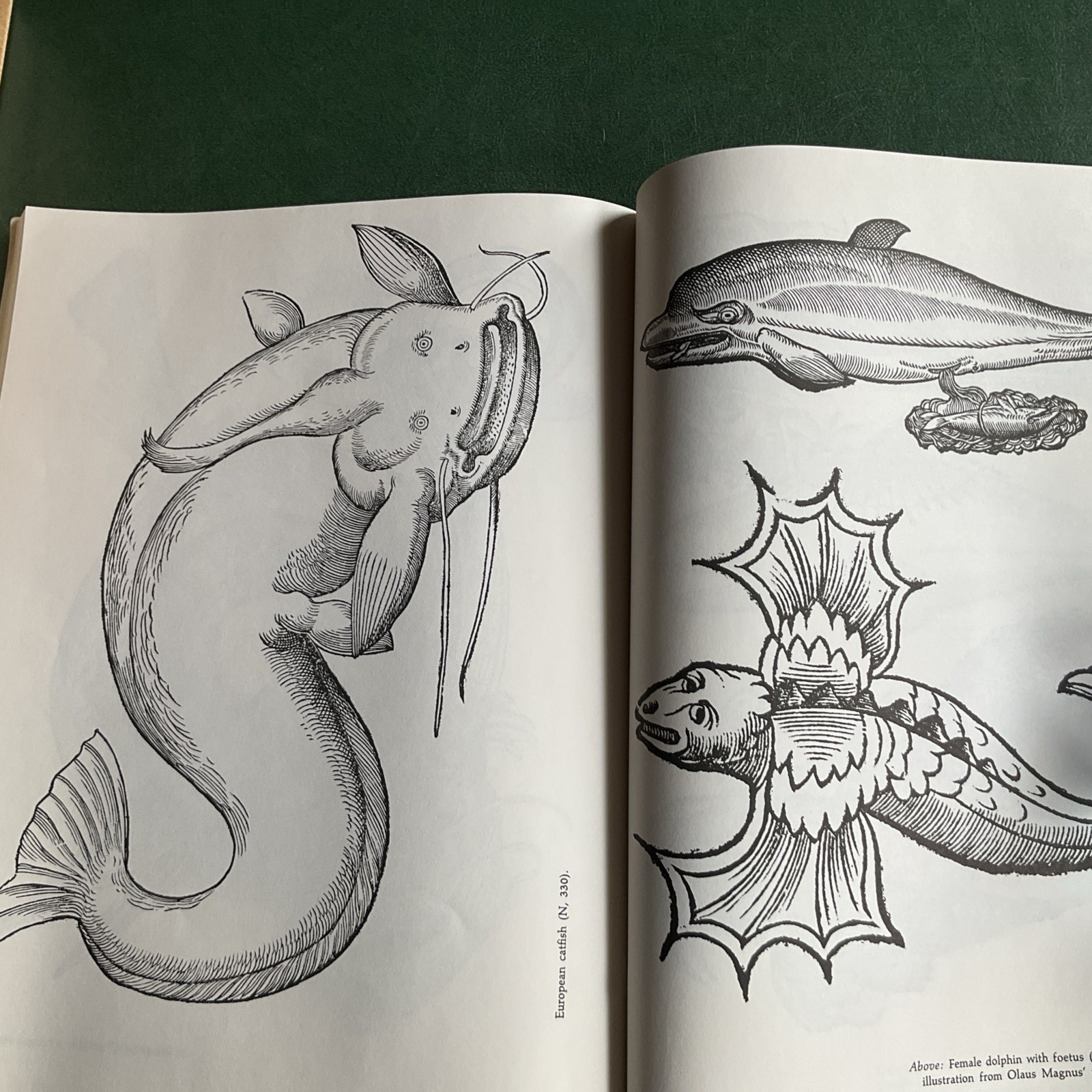 Curious Woodcuts of Fanciful and Real Beasts: A Selection of 19O Sixteenth-C…