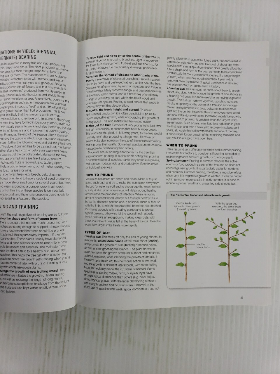 Fruit and Nuts : A Comprehensive Guide to the Cultivation, Uses and Health