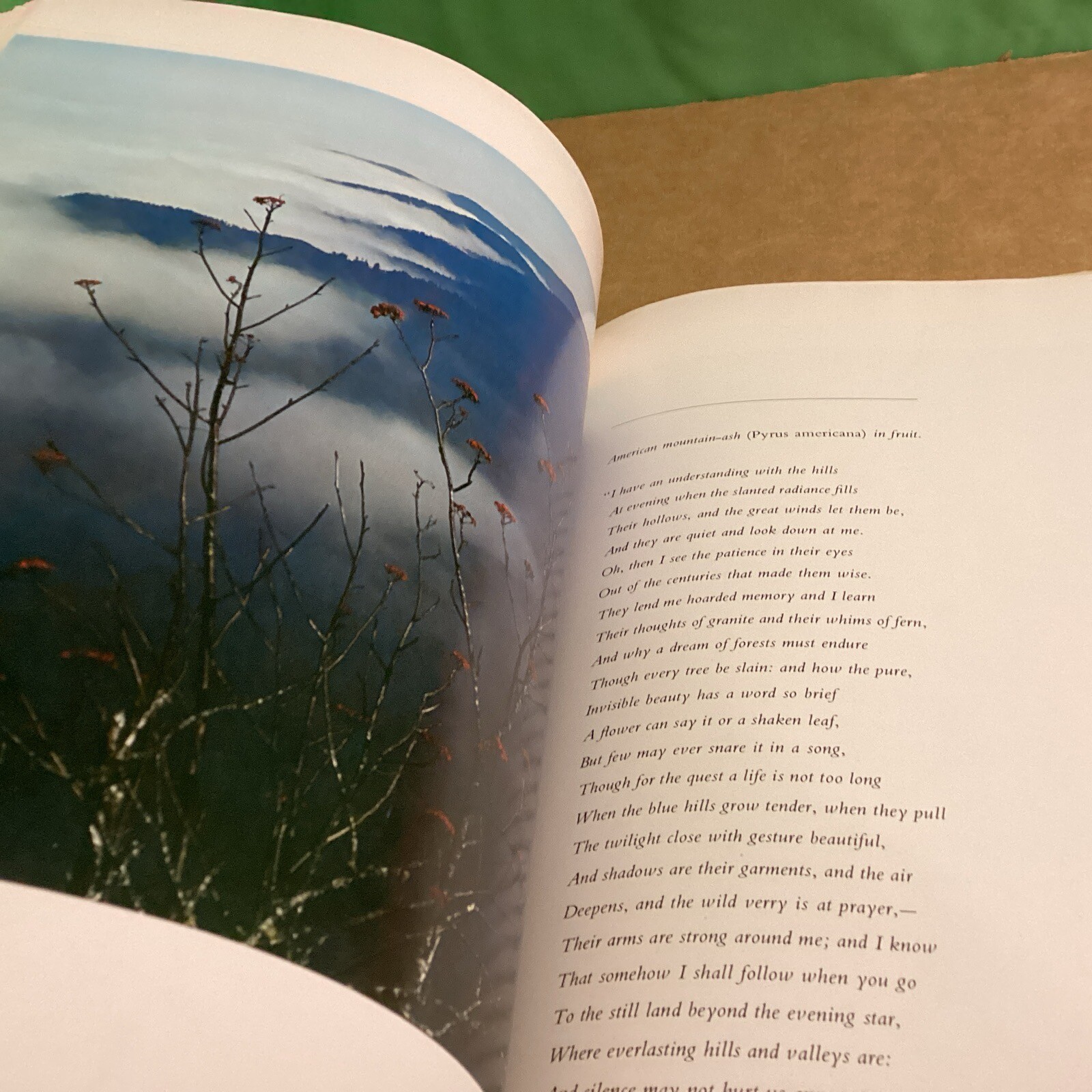 Appalachian Wilderness by Eliot Porter & Edward Abbey (Hardcover)