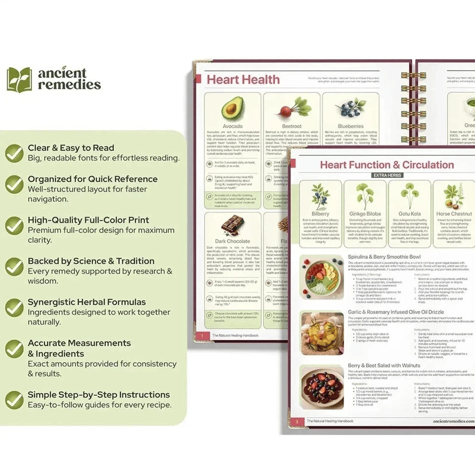 The Natural Healing Handbook Spiral Bound Guide For Herbal Remedies And Natural