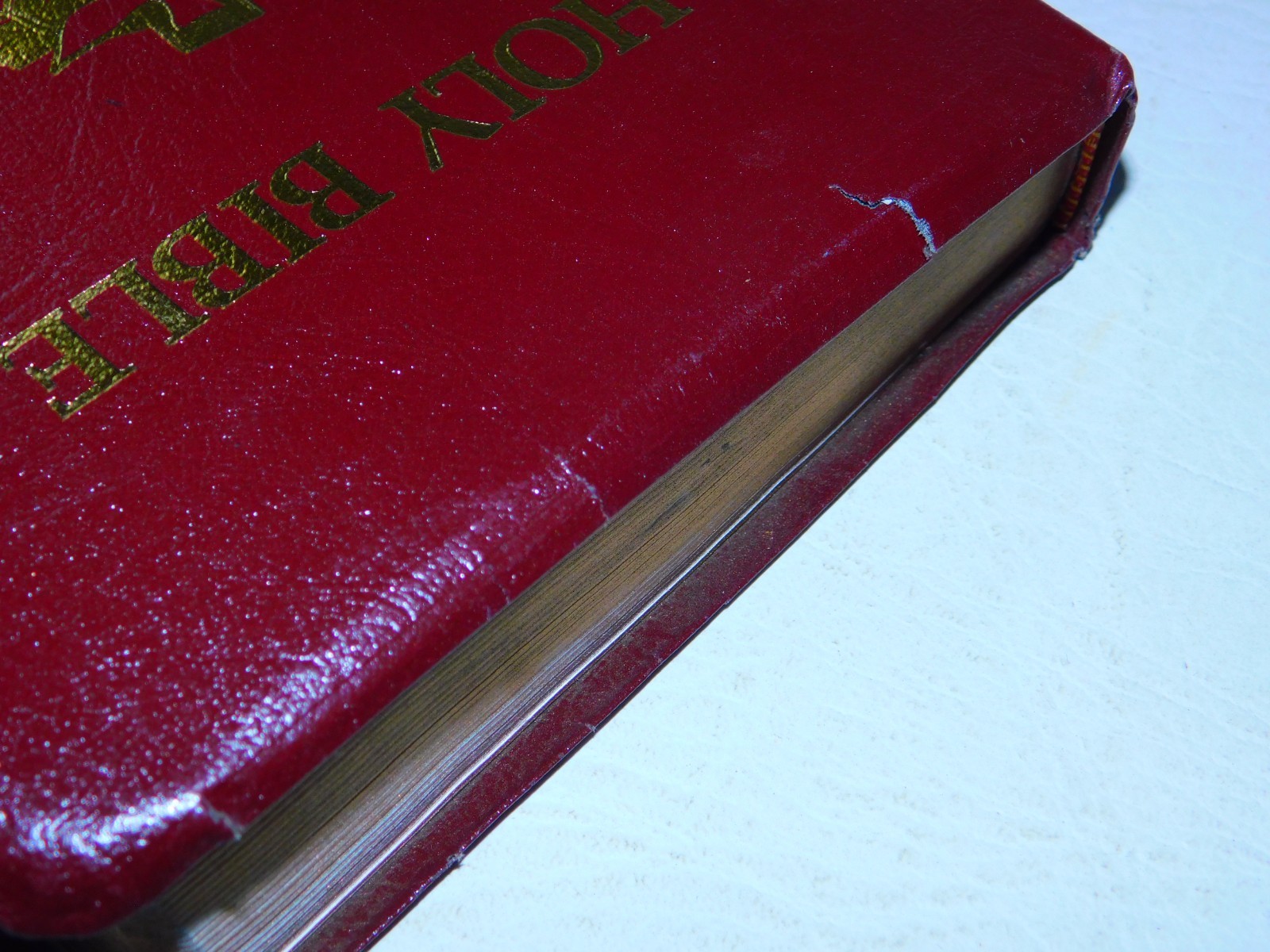 NKJV Holy Bible TBN Special Prophecy Edition 1985 Burgundy