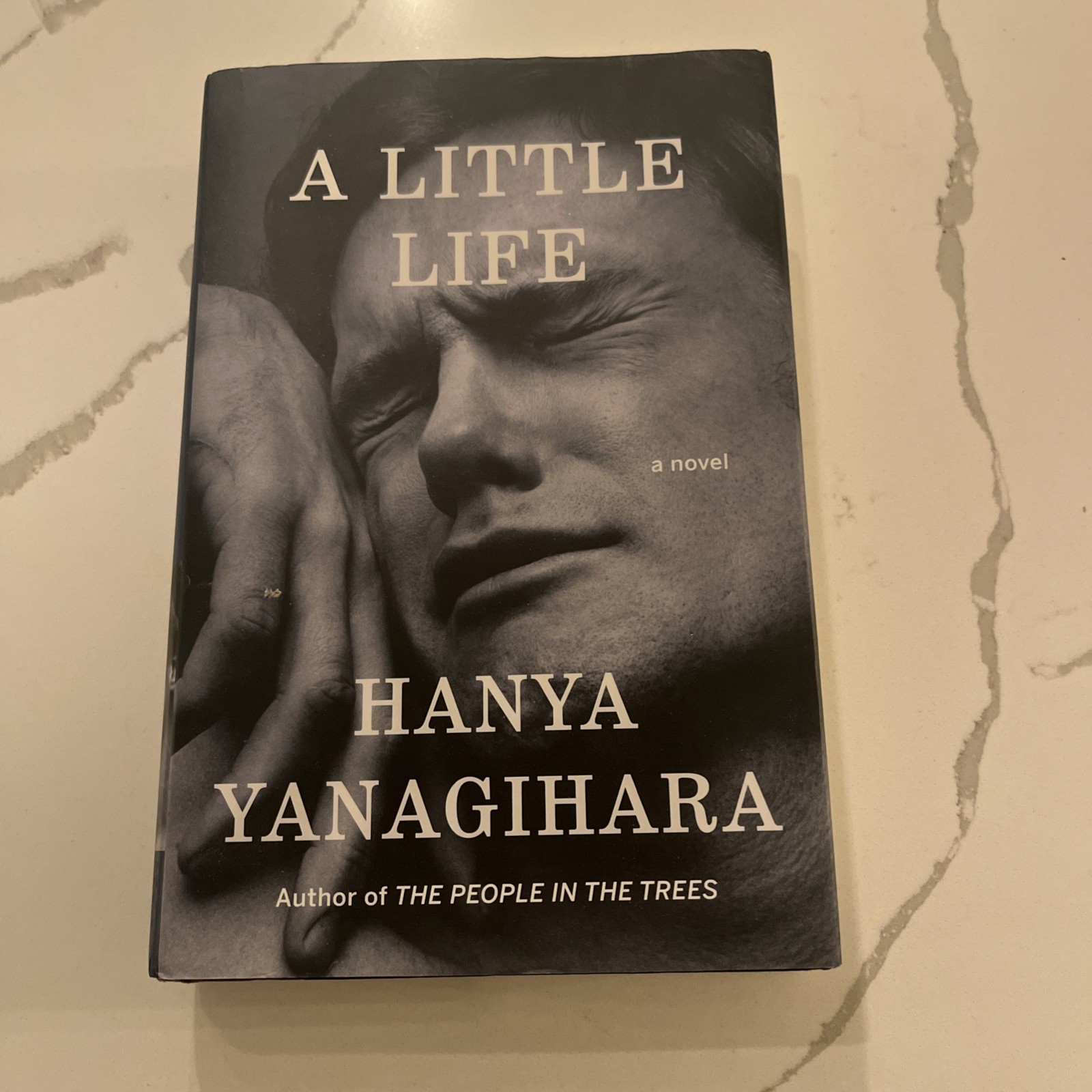 A Little Life by Hanya Yanagihara (2015, Hardcover) First Edition