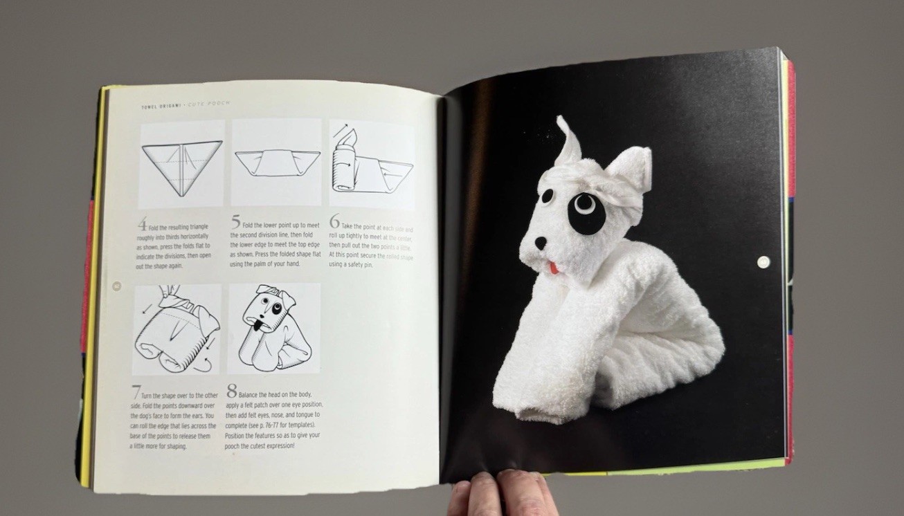 The Lost Art of Towel Origami – Paperback By Jenkins, Alison – GOOD