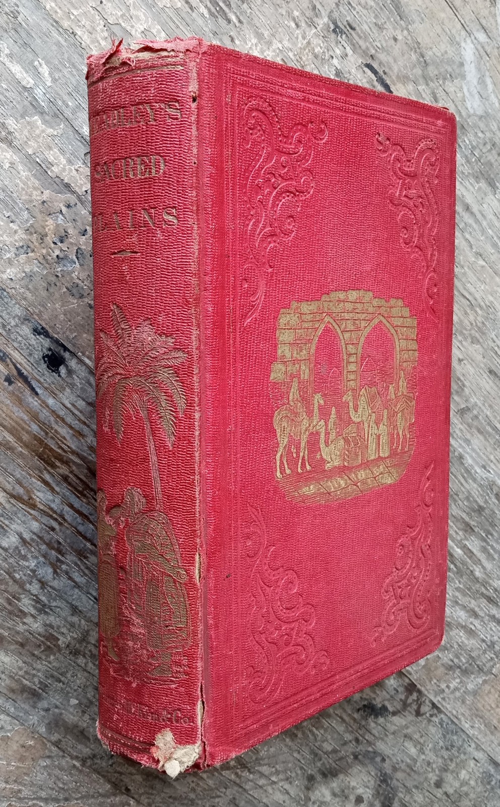 The Sacred Plains ~1856 Antique HC~ Headley Bible Geography Buffalo NY Illust