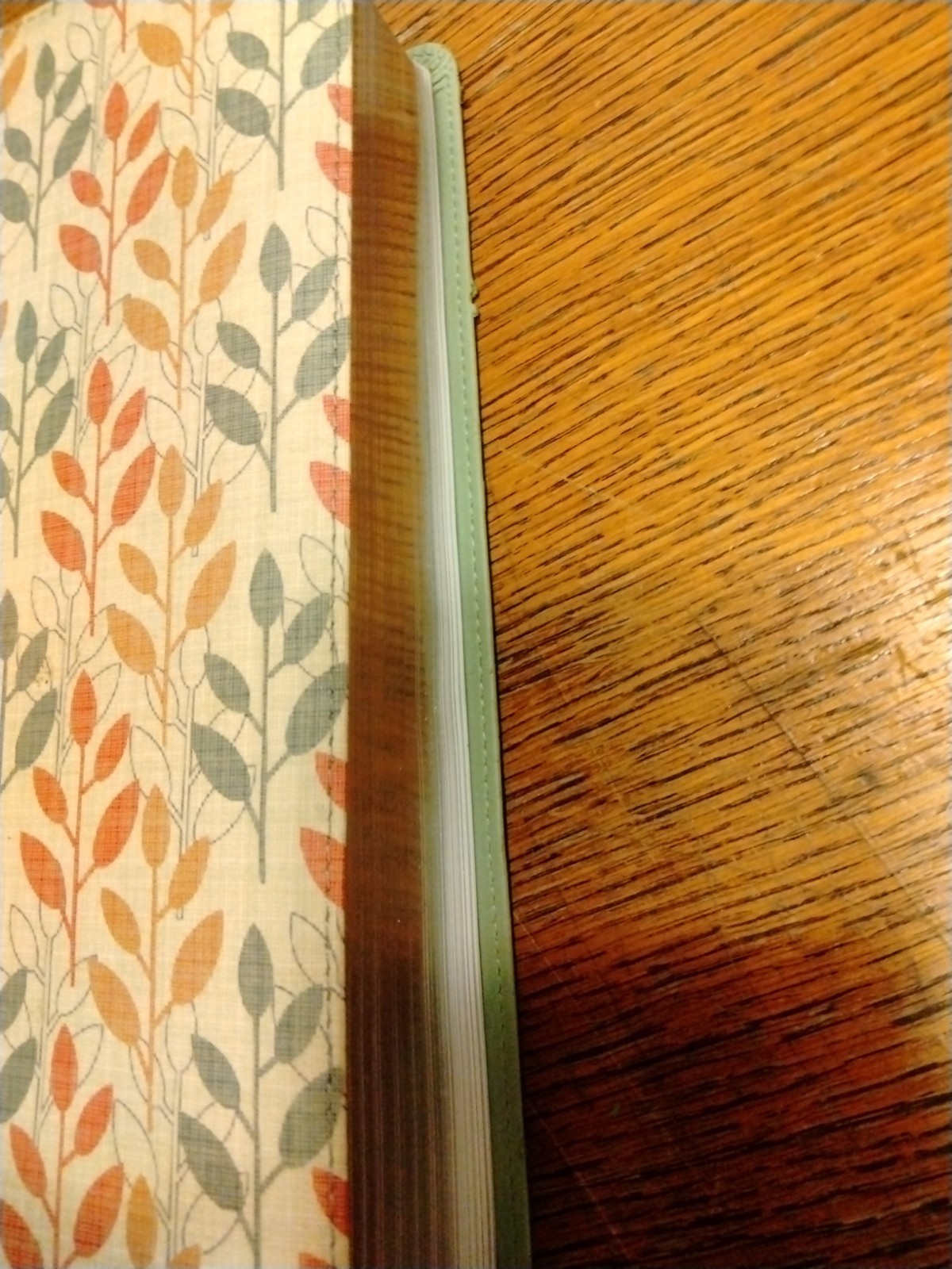 Zondervan NIV Cultural Backgrounds Study Bible Leathersoft Green