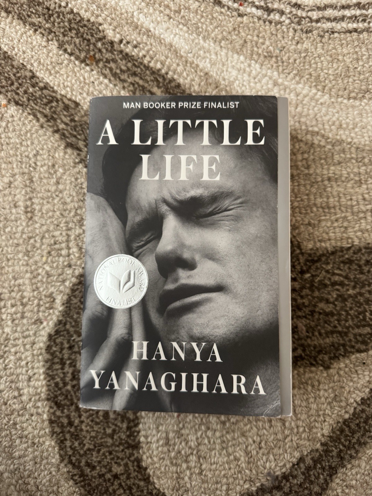 A Little Life Hanya Yanagihara Paperback, Great Condition!