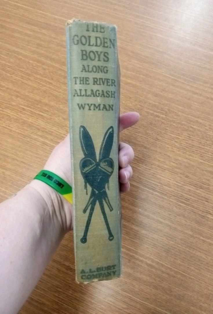 Golden Boys Along the River Allagash by L. P. (Levi Parker) Wyman and Phil