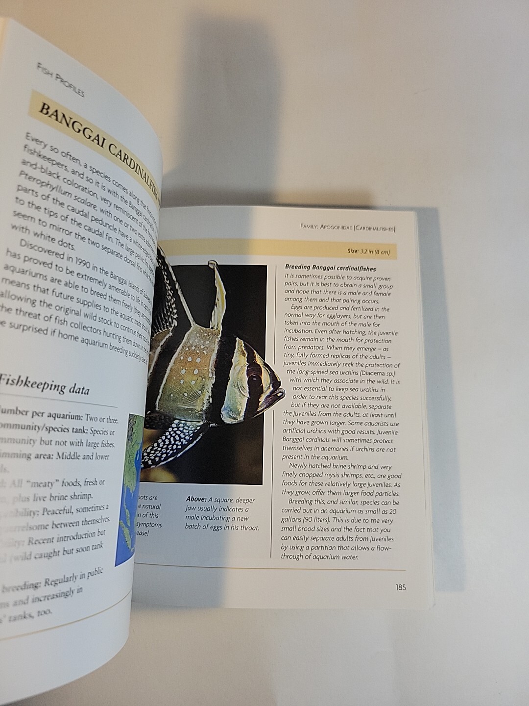 Mini Encyclopedia: Marine Aquarium – Comprehensive Coverage