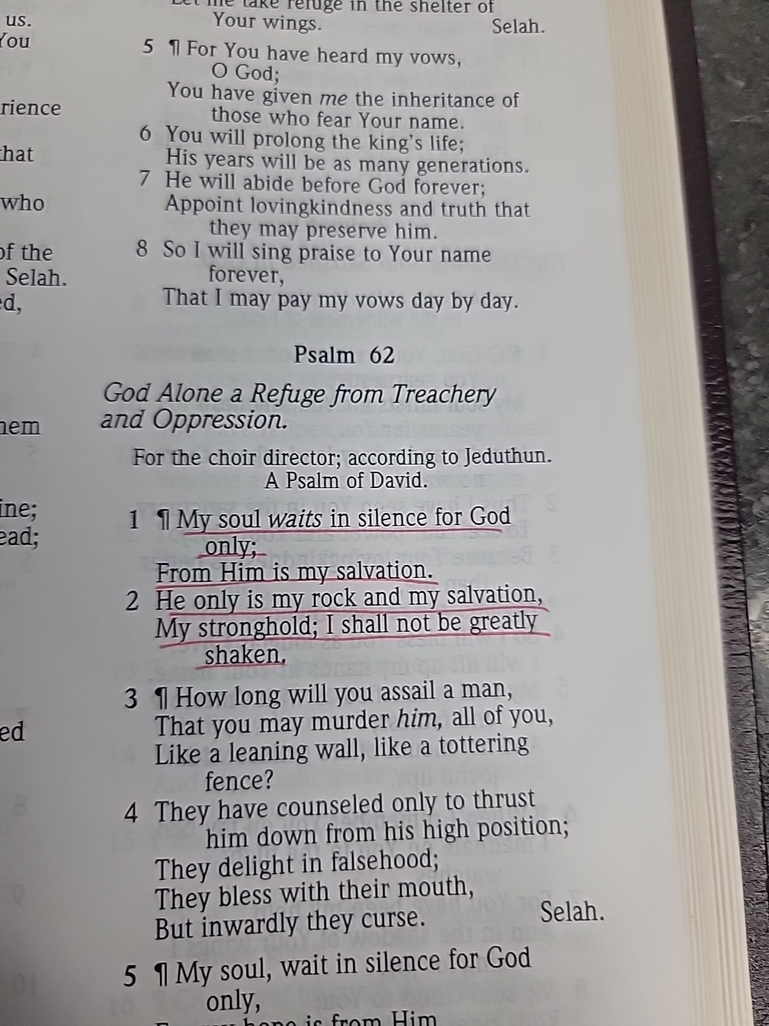 Nasb Thinline Bible by Zondervan Staff (1999, Bonded Leather)