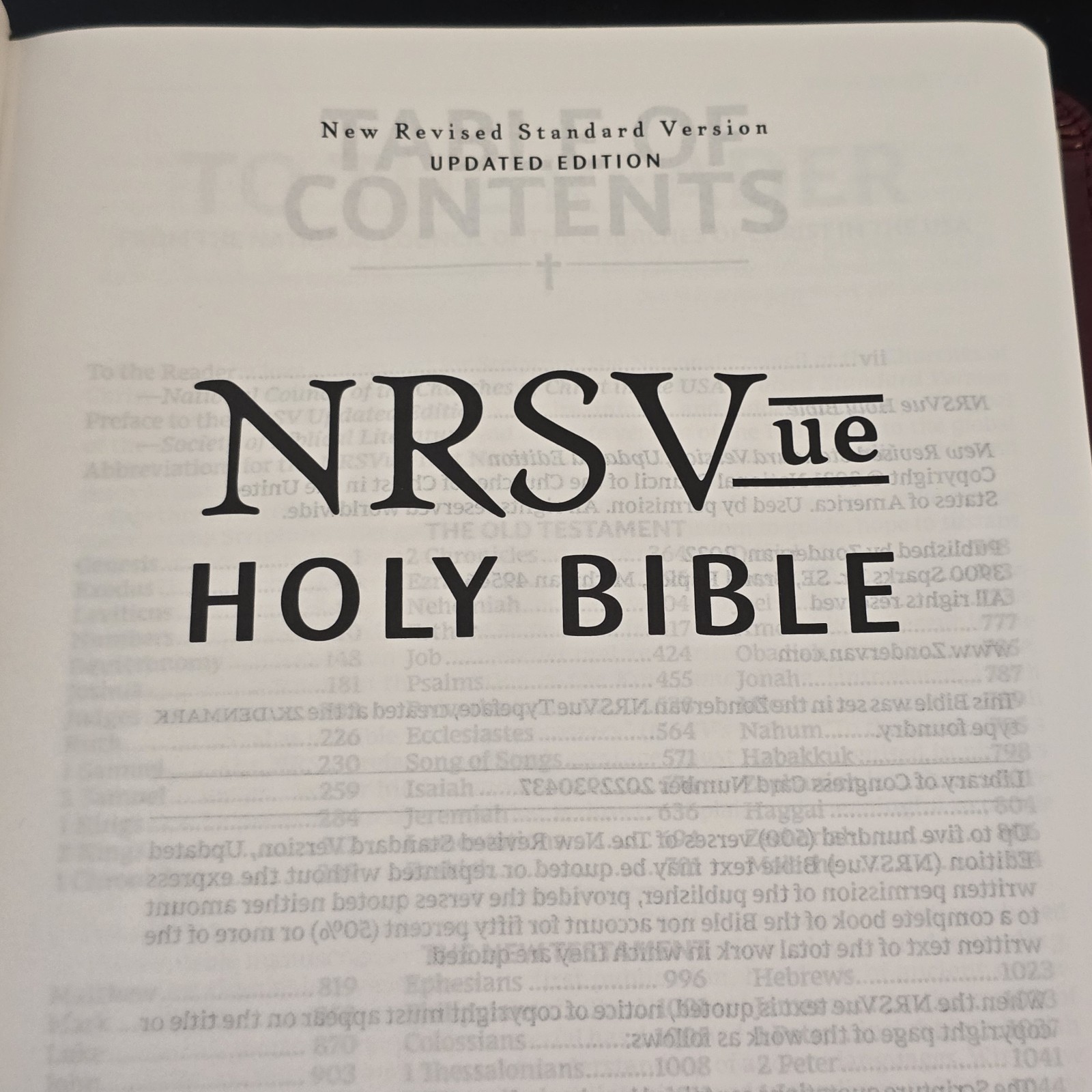 NRSVue, Holy Bible, Leather soft, Burgundy, Comfort Print