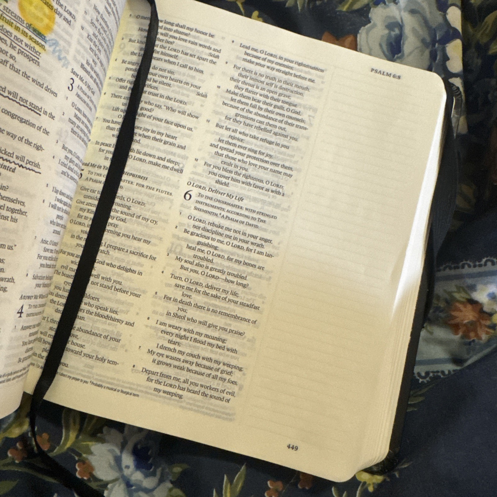 ESV Journaling Hardcover Bible Study Devotional Christian Faith Student Church