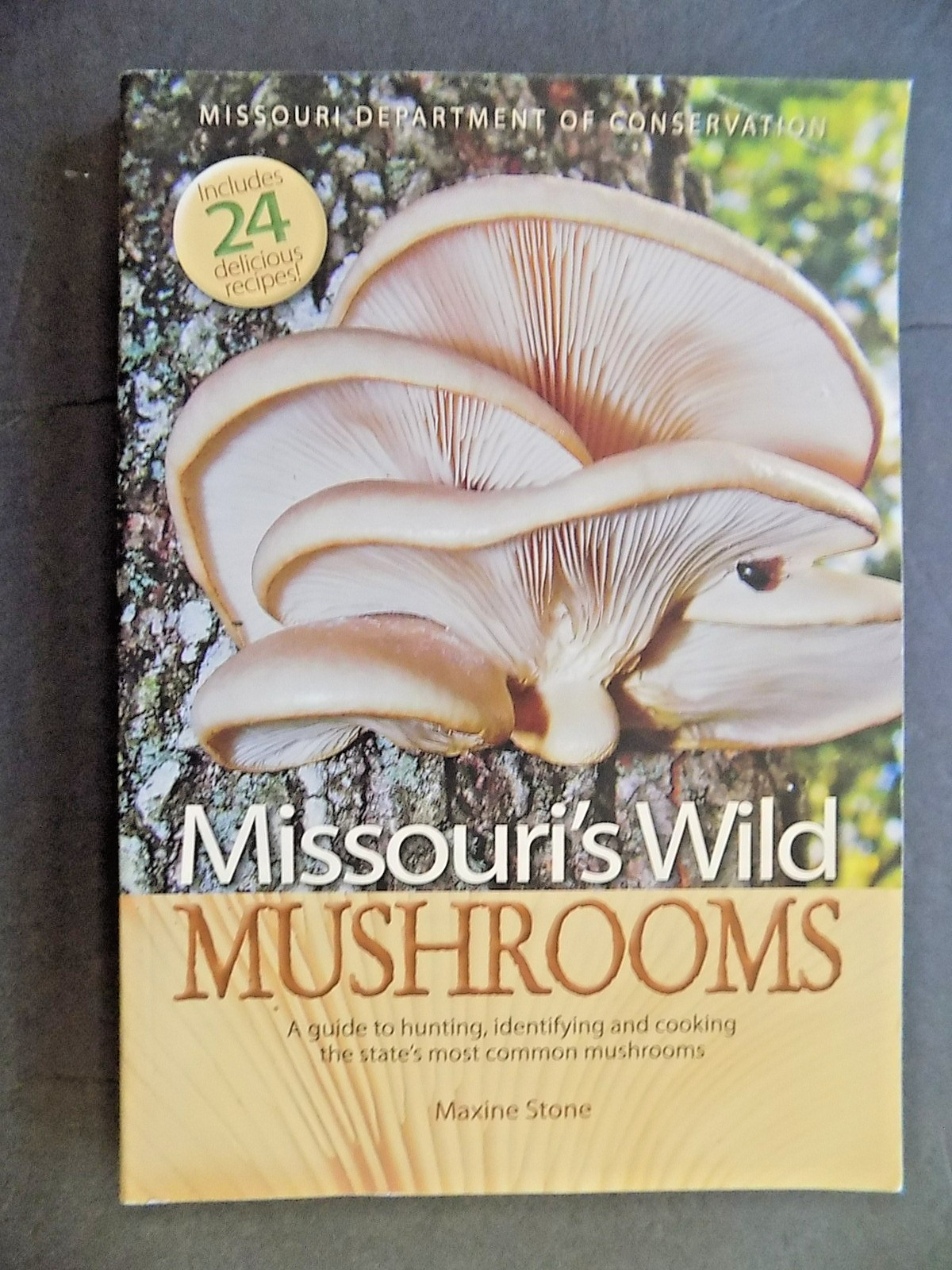 NORTH AMERICAN MUSHROOMS : photo postcards , NEW