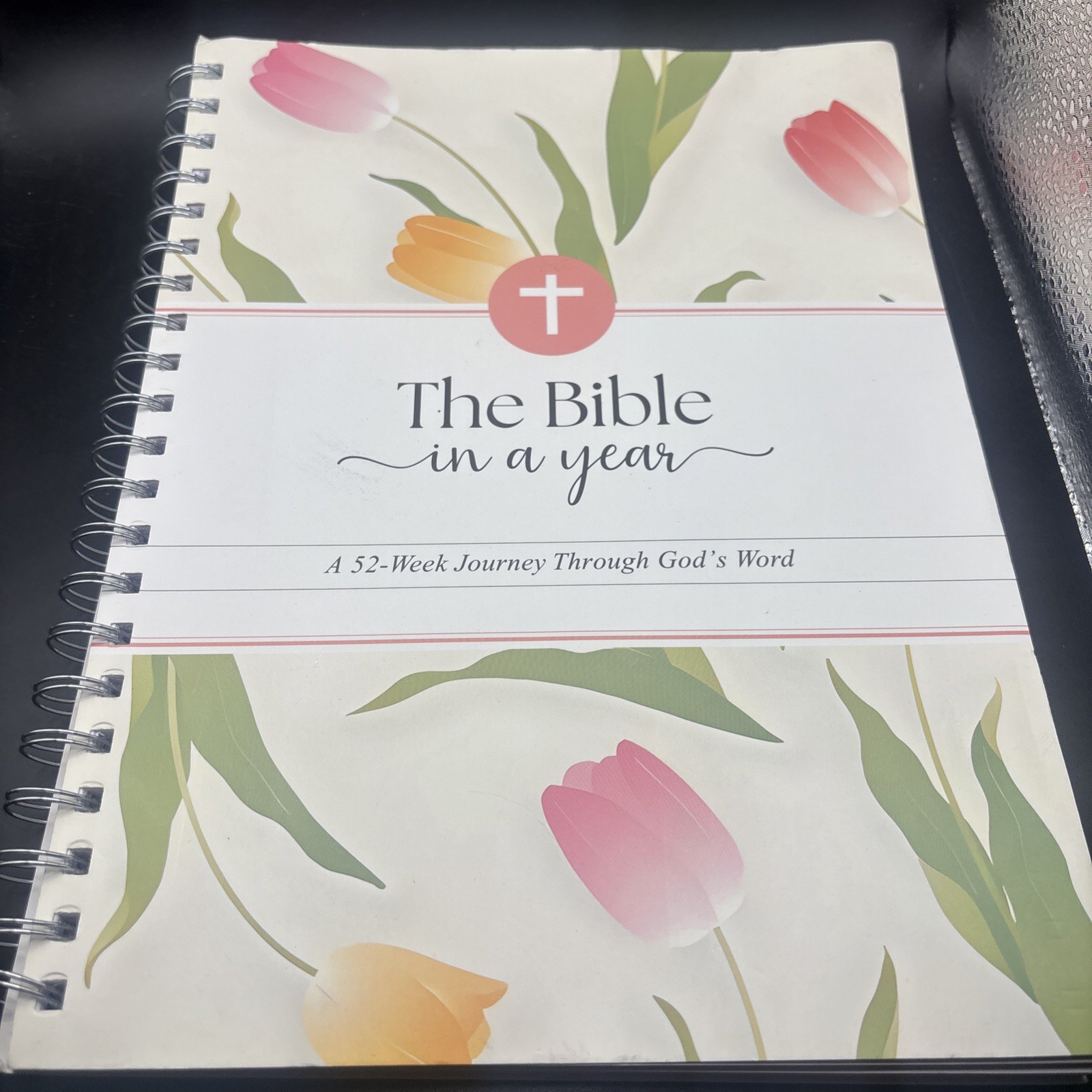 The Bible in a Year Spiral Bound Study Guide 52-Week Journey Through God’s Word