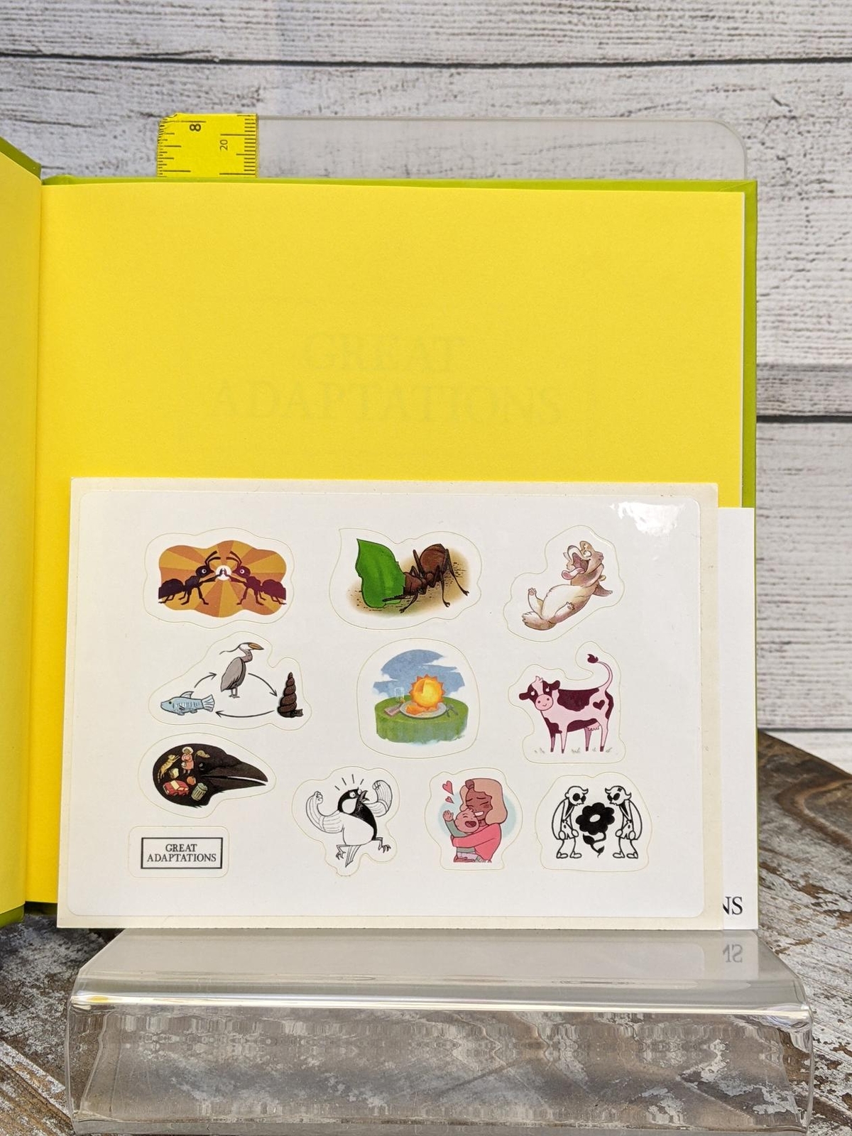Great Adaptations by Tiffany Taylor 2014 Hardcover