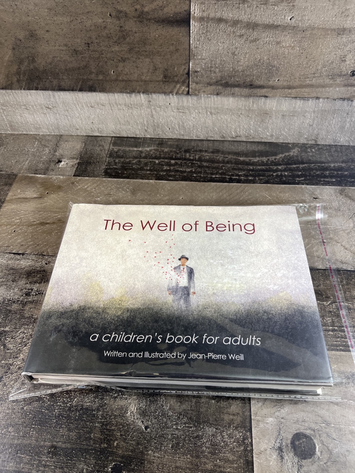 The Well Of Being A Children’s Book for Adults By Jean-Pierre Weill Watercolor