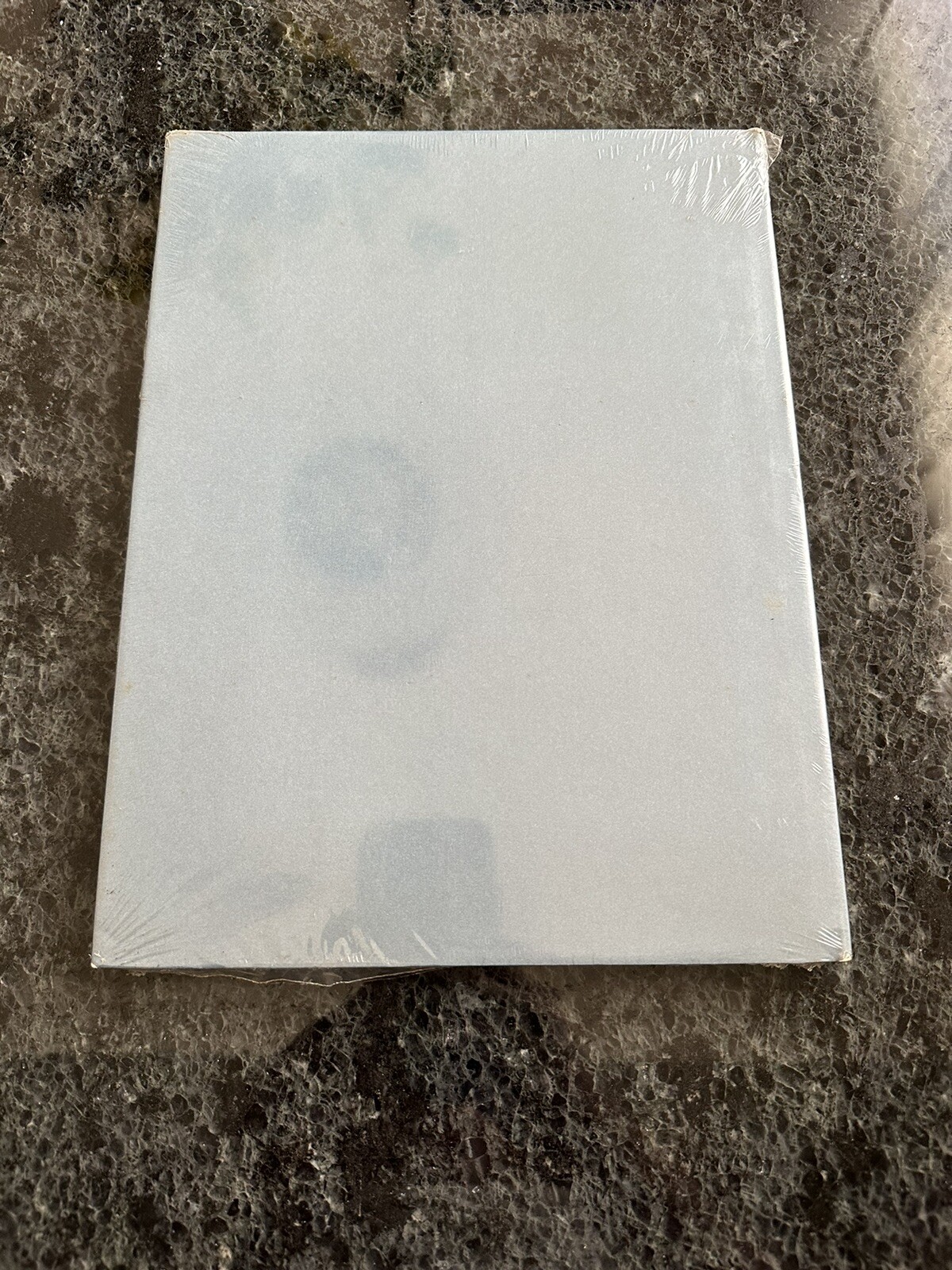 Larry Stanton Painting and Drawing Twelvetrees Press 1986 First Edition Sealed