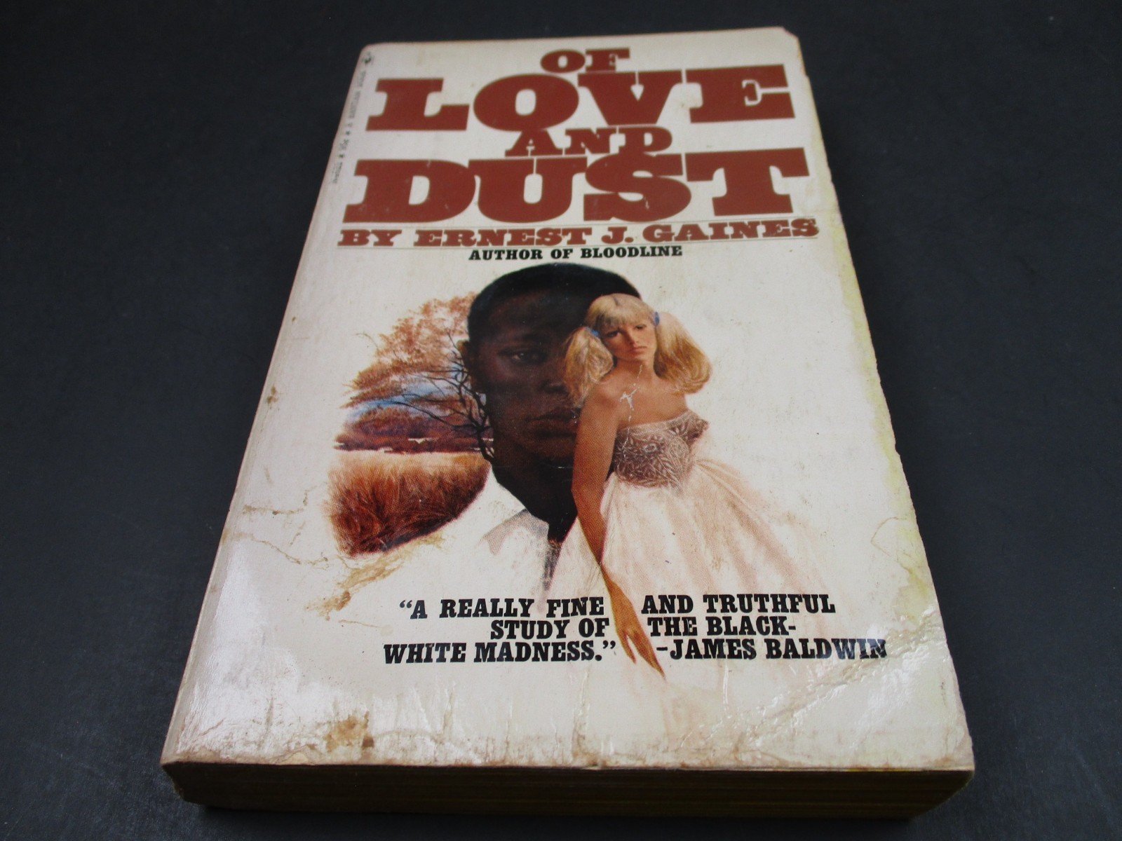 OF LOVE AND DUST by Ernest J. Gaines Bantam Book 1969 Paperback PB-N4622 SLEAZE
