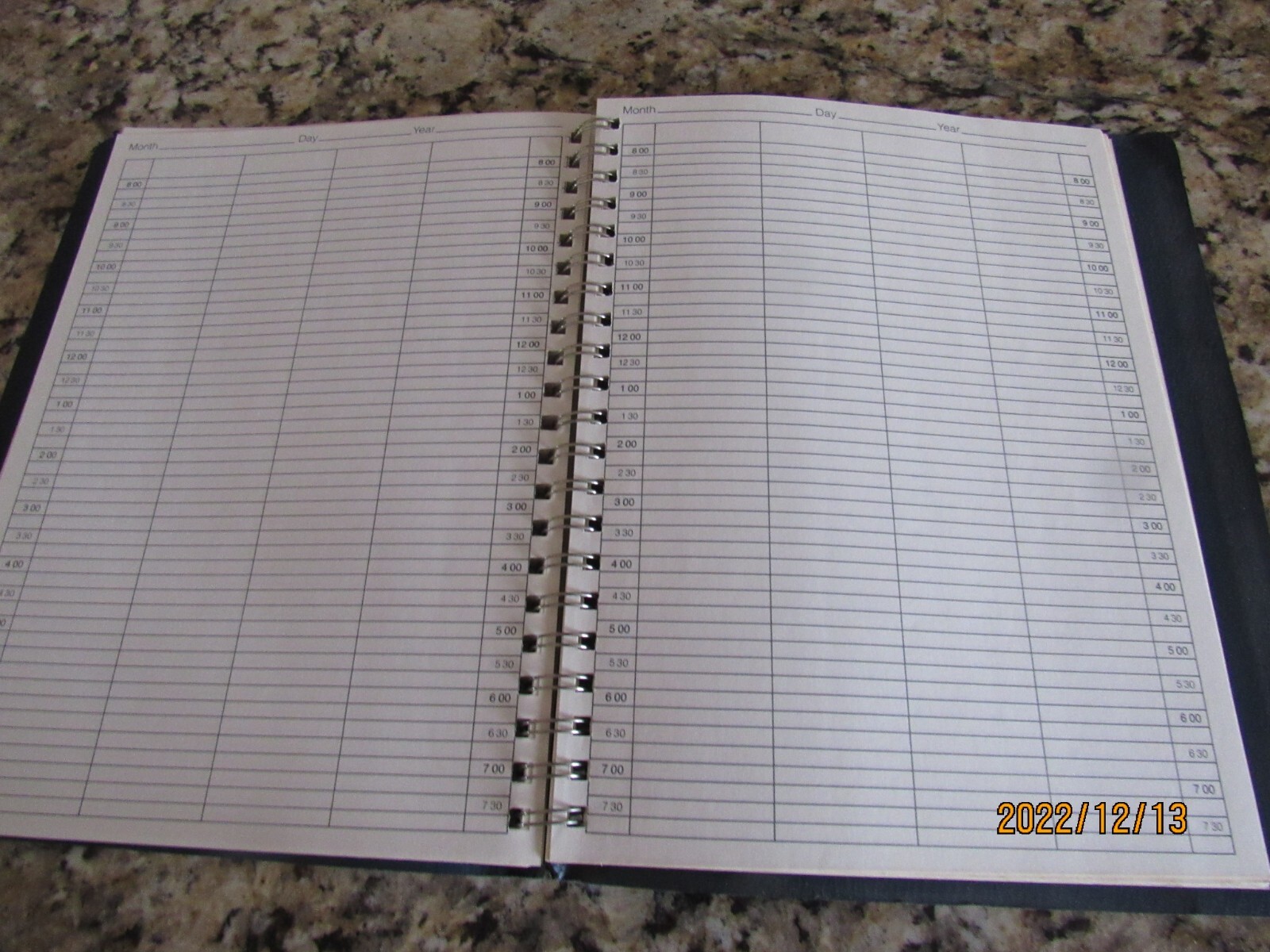 Note-a-Date Daily Group Professional Appointments Planner-Calendar- 125 2X-Pages