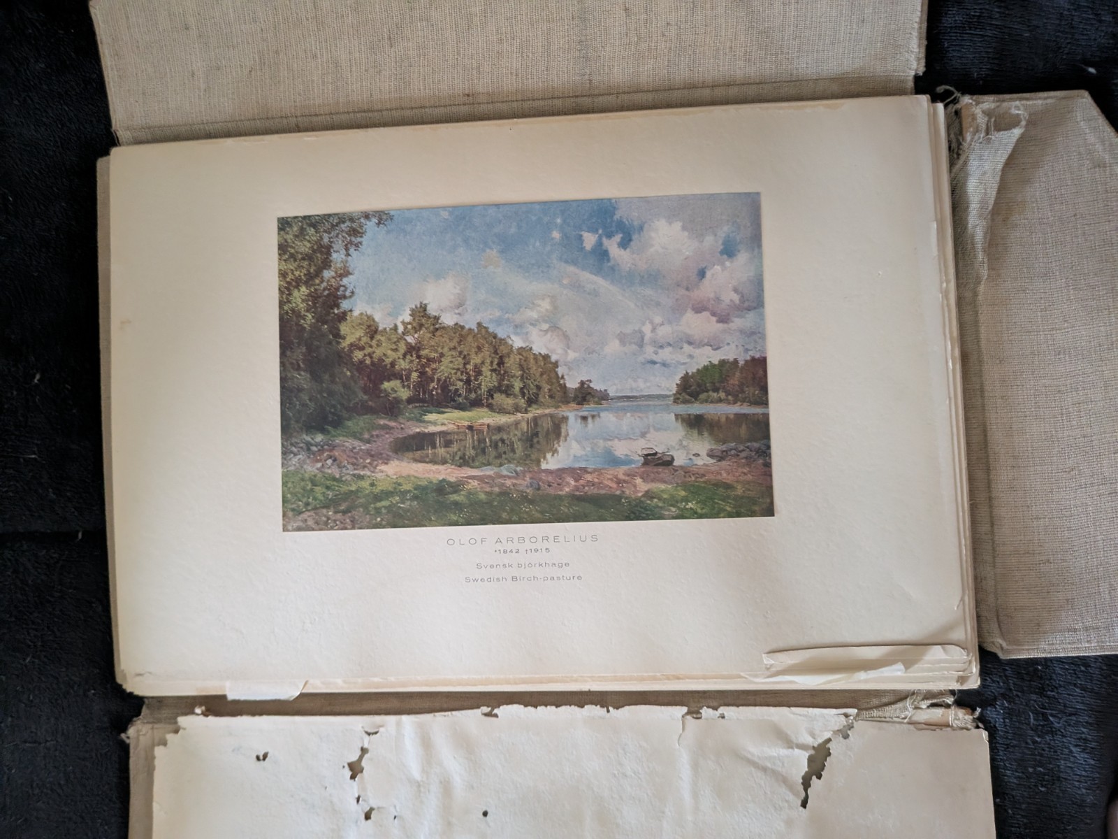 Beautiful SWEDEN : Collection of paintings of swedish landscapes by famous _Rare