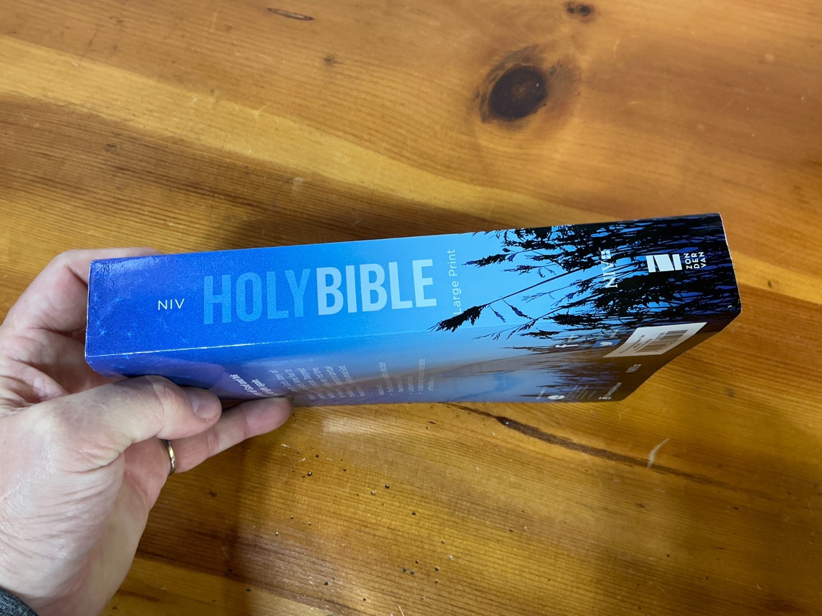 NIV Holy Bible Large Print by Zondervan Staff 2017, Paperback MINT UNUSED